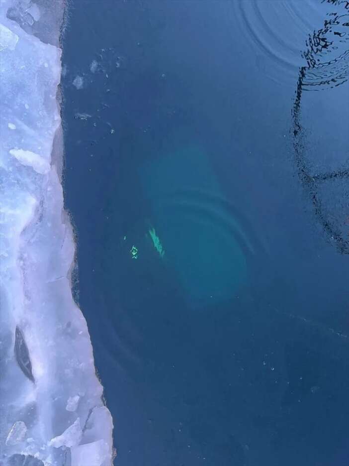 baykal-golunde-tur-araci-buzun-altina-girdi-8-kisi-hayatini-kaybetti