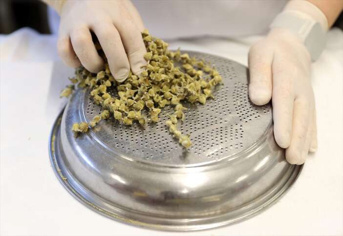 konyanin-geleneksel-lezzeti-bamya-corbasinin-yapimi-anlatildi