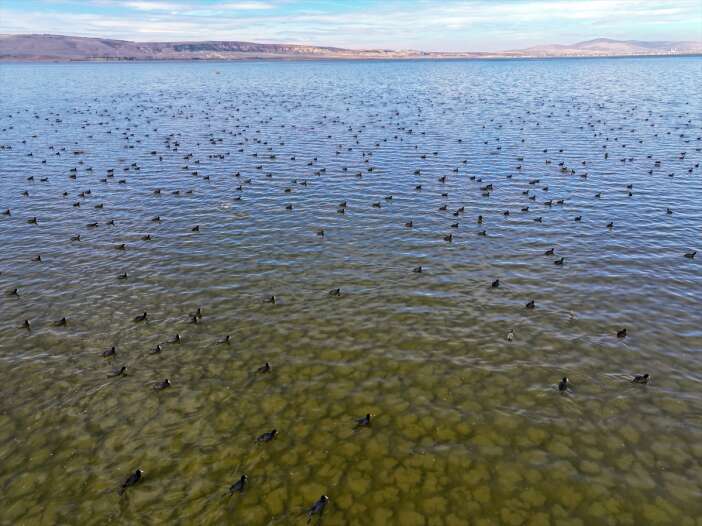 konyada-kurakligin-oldurdugu-cavuscu-golu-hayata-geri-dondu