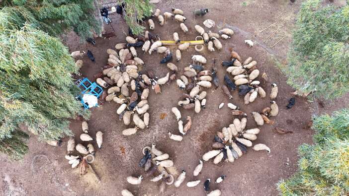 genc-kadin-herkesin-sosyal-medyada-kurdugu-hayali-yasiyor