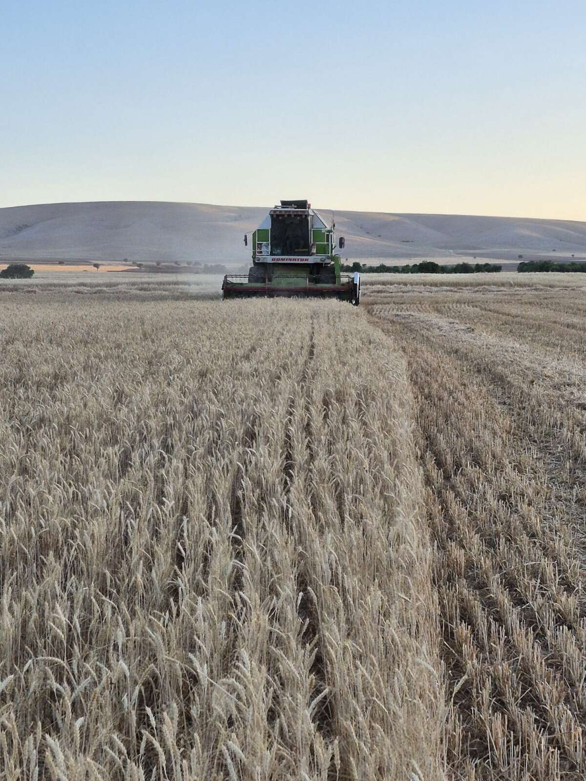 konya-ciftcisi-bu-yil-kendini-garantiye-aliyor