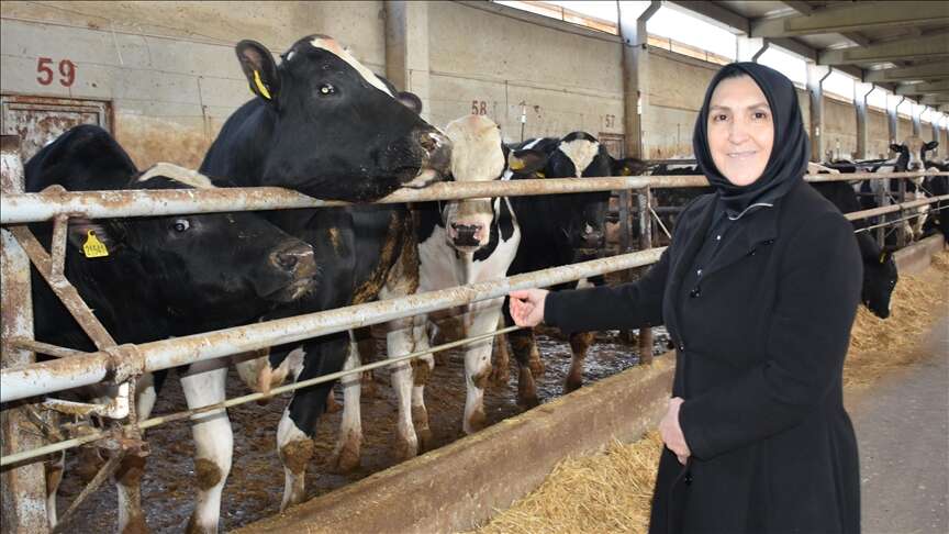 ev-hanimiyken-900-buyukbas-hayvanla-ciftlik-sahibi-oldu