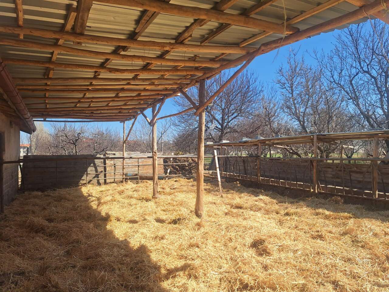 goruntu-gundem-olmustu-konyadaki-o-besi-ciftligine-inceleme-baslatildi