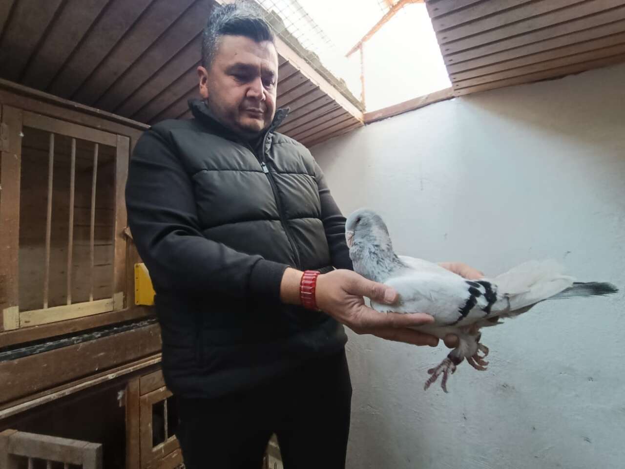 memurlugu-birakip-bu-ise-basladi-bir-tanesini-otomobil-fiyatina-satiyor