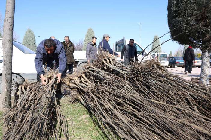 konyada-ciftcilere-23-bin-530-adet-fidan-destegi