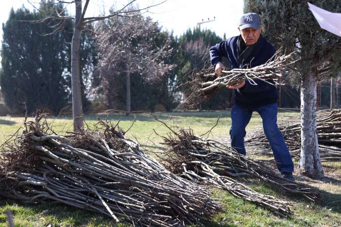 konyada-ciftcilere-23-bin-530-adet-fidan-destegi