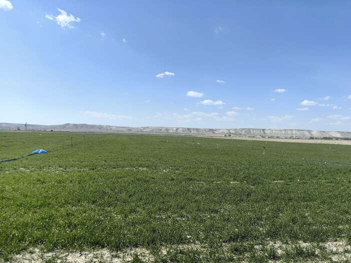 konyada-uzman-isim-diken-ustundeki-ciftciye-onemli-tarihi-verdi