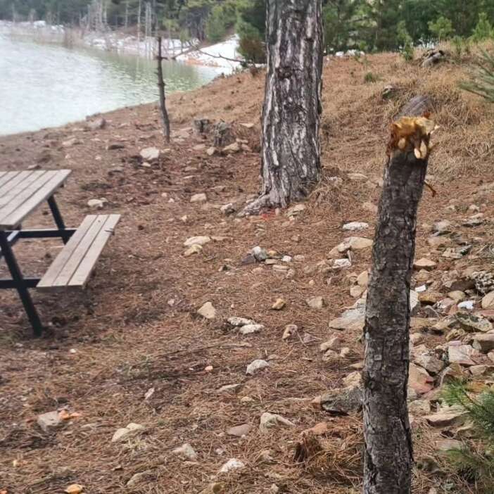 konyada-doga-katliami