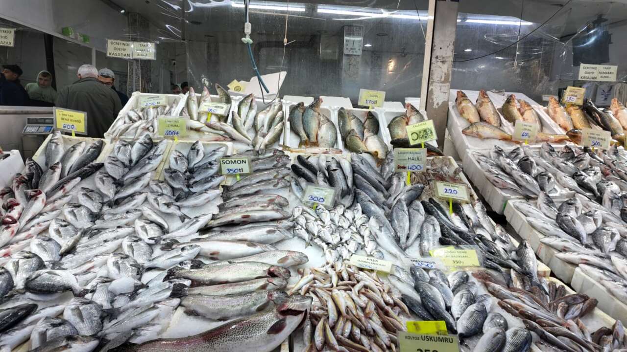 konyada-av-yasagi-basladi-saticilara-7-gun-sure-verildi