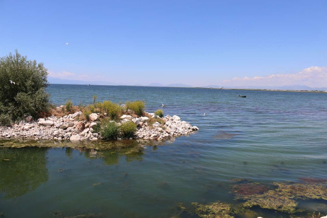 konyada-av-yasagi-basladi-saticilara-7-gun-sure-verildi