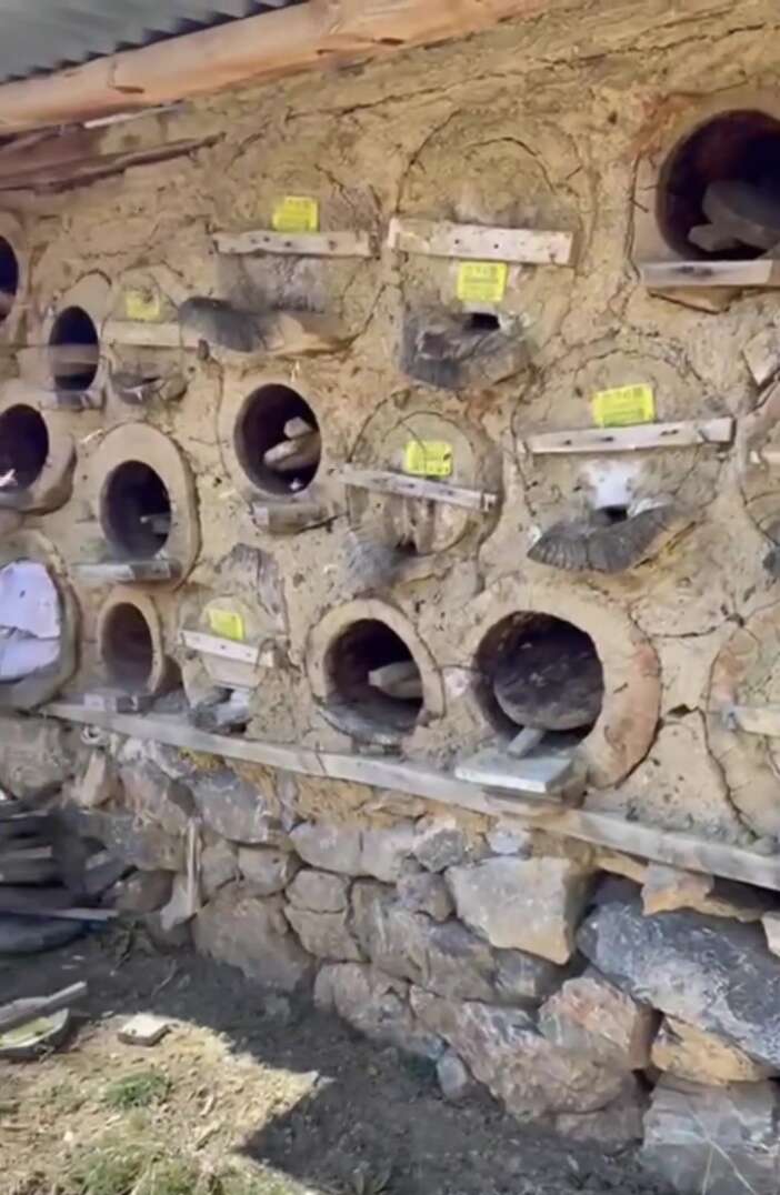 konyada-aricilik-sezonu-basladi