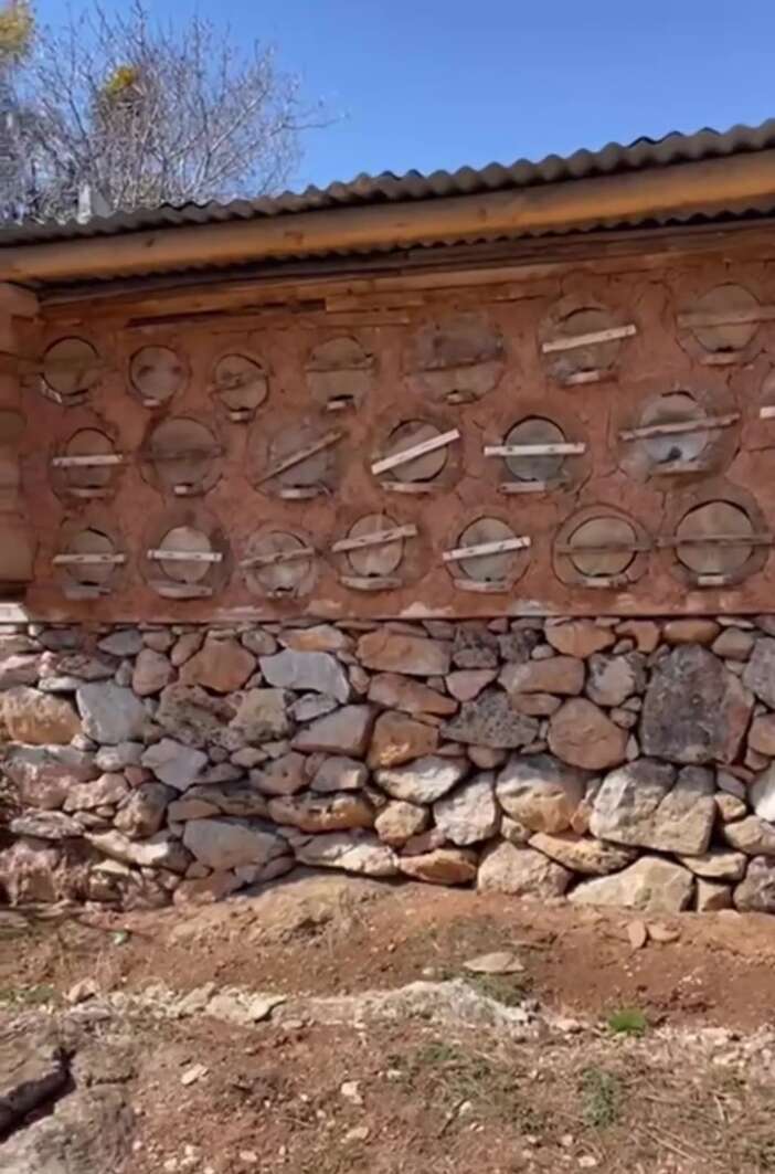 konyada-aricilik-sezonu-basladi