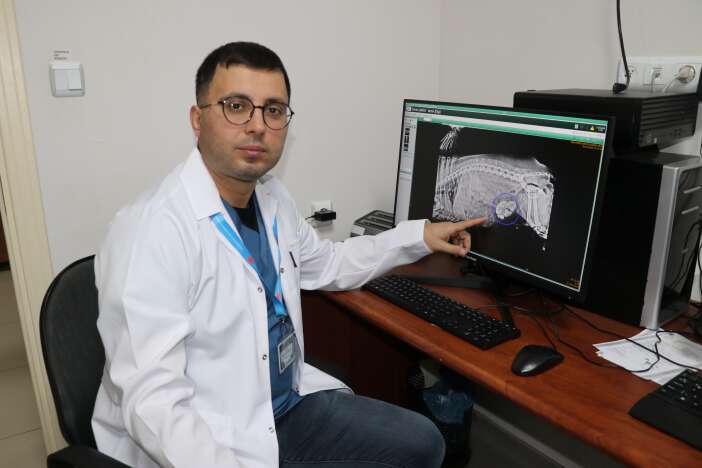 kopegin-idrar-kesesinden-cikanlar-doktoru-bile-sok-etti-yaklasik-140-tane