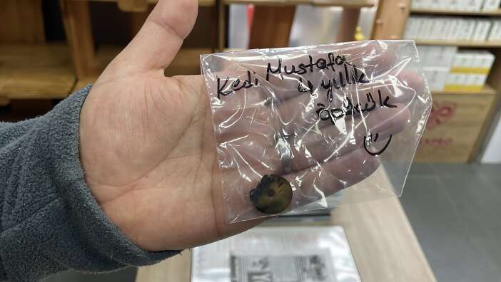 4-yildir-kusan-kedinin-sorunu-ortaya-cikti