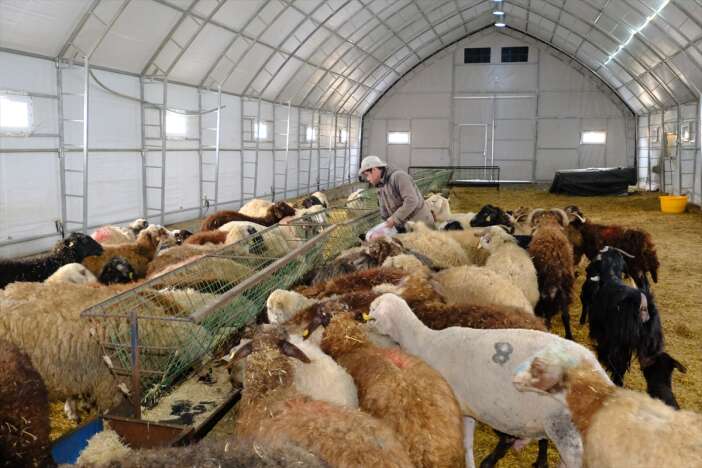 konya-ovasi-projesiyle-hayvanciliga-adim-atti