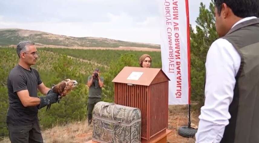 konyada-tedavi-edilen-yaban-hayvanlari-yeniden-dogal-yasamina-donuyor