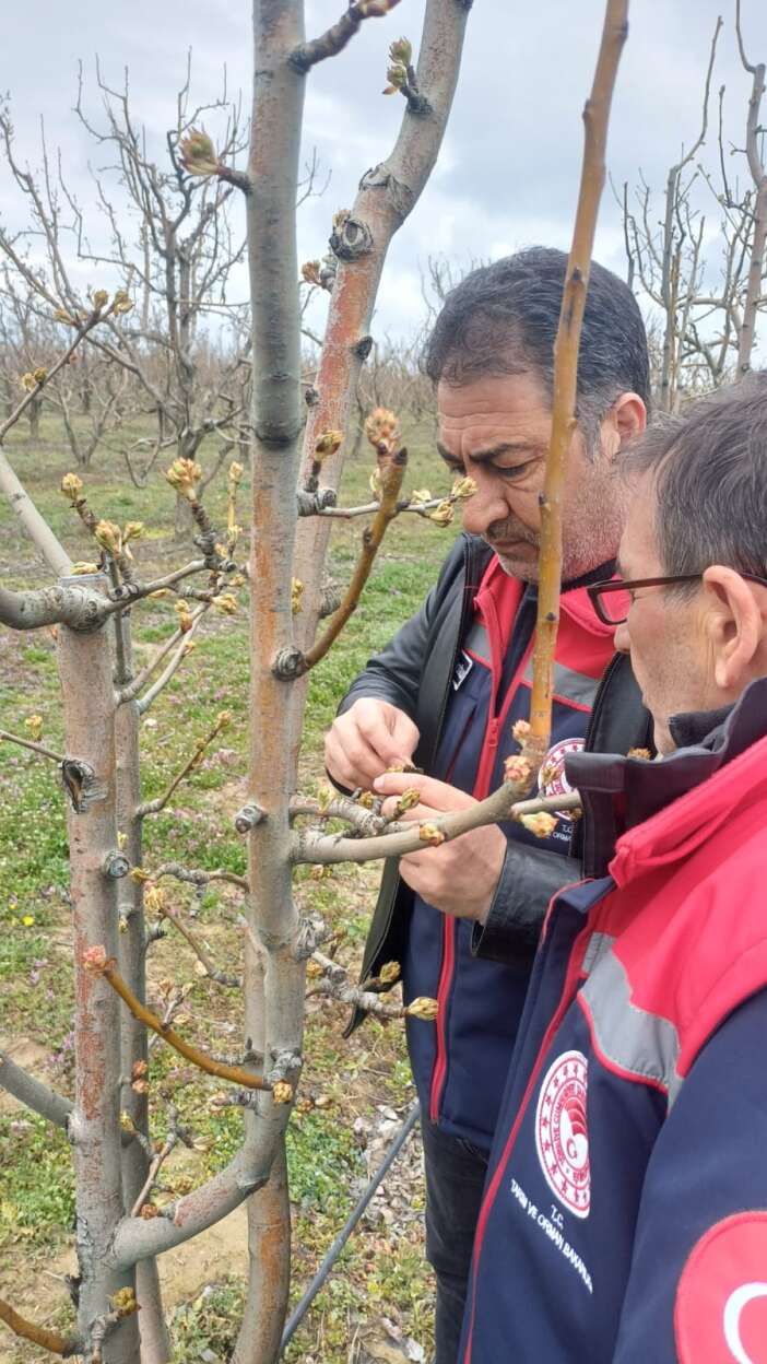 gecen-yil-don-vuran-konyadaki-meyve-bahcelerinde-ilkbahar-mesaisi-basladi