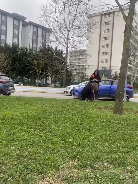 trafikteki-kadin-kavgasinin-bedeli-agir-oldu