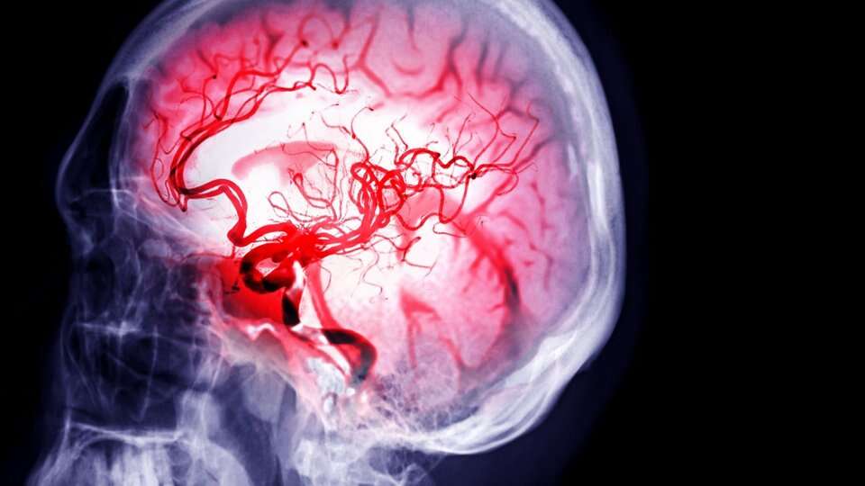 konyada-uzmandan-kritik-uyari-dakikalar-hayat-kurtariyor