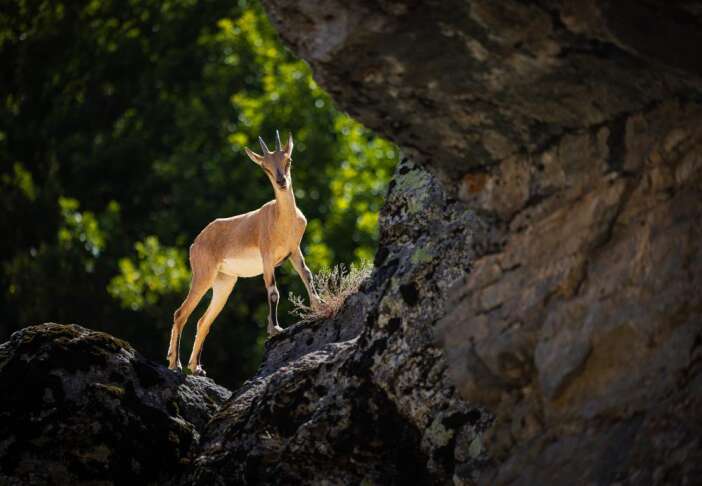 turkiyenin-en-guzel-fotograf-karelerinden-biri-konyadan-cikti