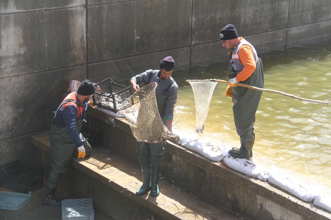 konyada-saatler-suren-balik-kurtarma-operasyonu-gole-geri-donduler