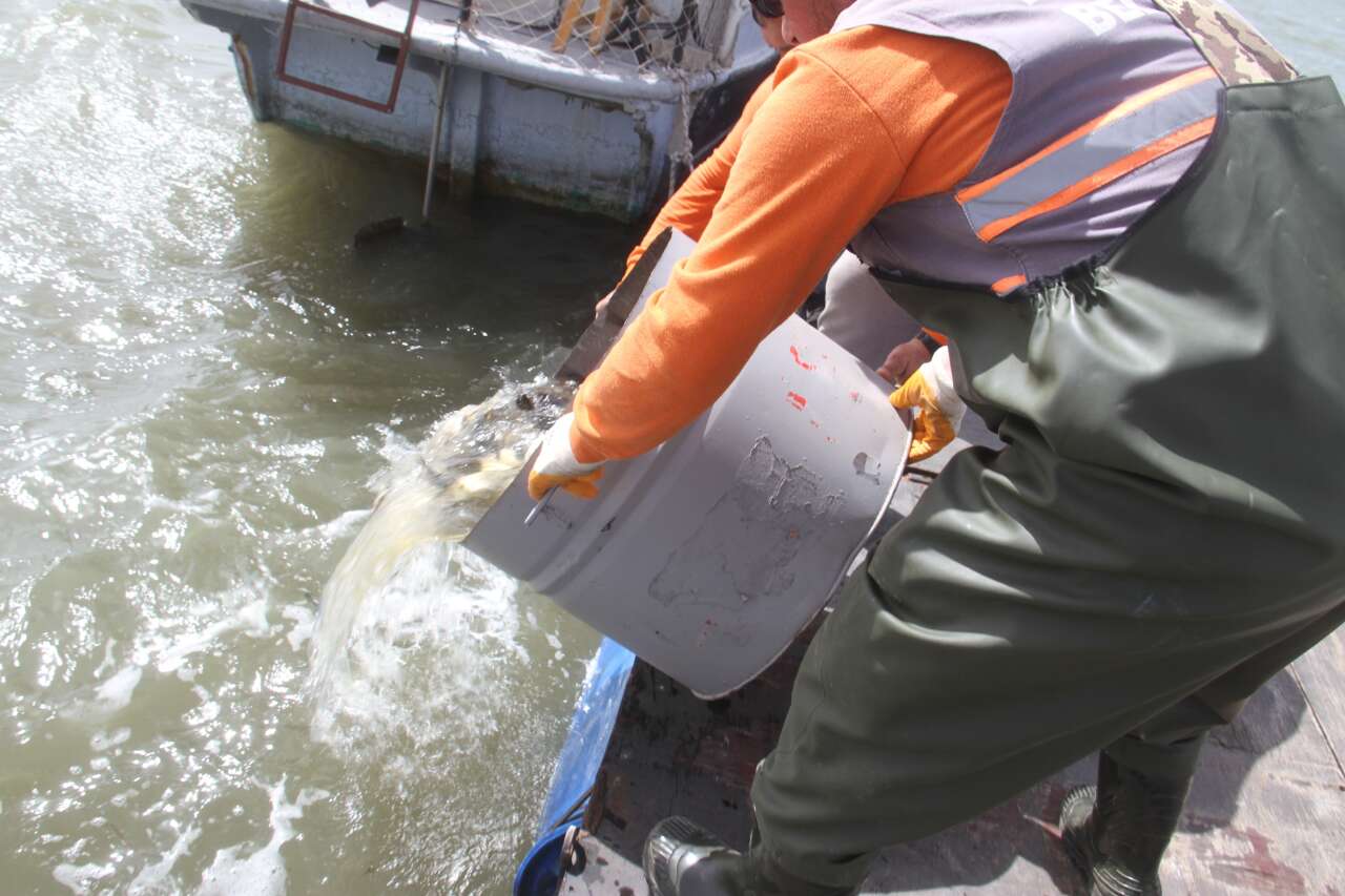 konyada-saatler-suren-balik-kurtarma-operasyonu-gole-geri-donduler