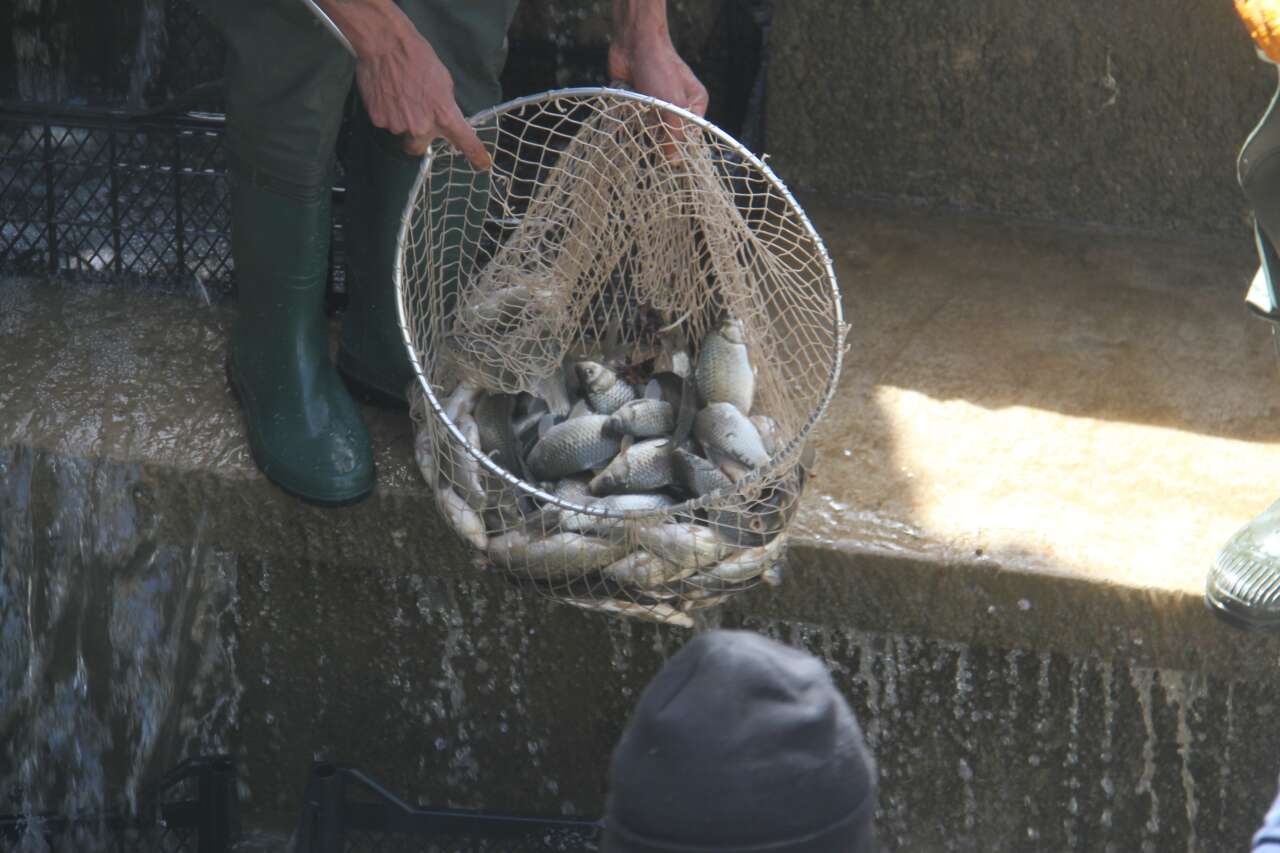 konyada-saatler-suren-balik-kurtarma-operasyonu-gole-geri-donduler