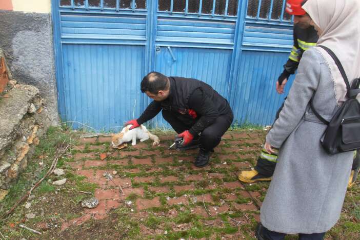 konyada-kedi-kurtarma-operasyonu-ekipler-seferber-oldu