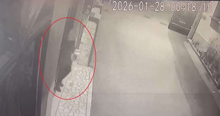 emekli-polis-esini-oldurup-15-parcaya-aymisti-attigi-cop-kutularini-gosterdi