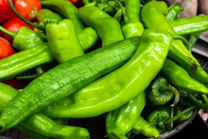 konyada-tarlada-5-tl-olan-salatalik-markette-80-tl