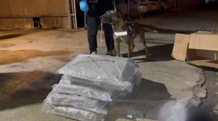 bedensel-engelli-adam-uyusturucu-sevkiyati-yaparken-yakalandi