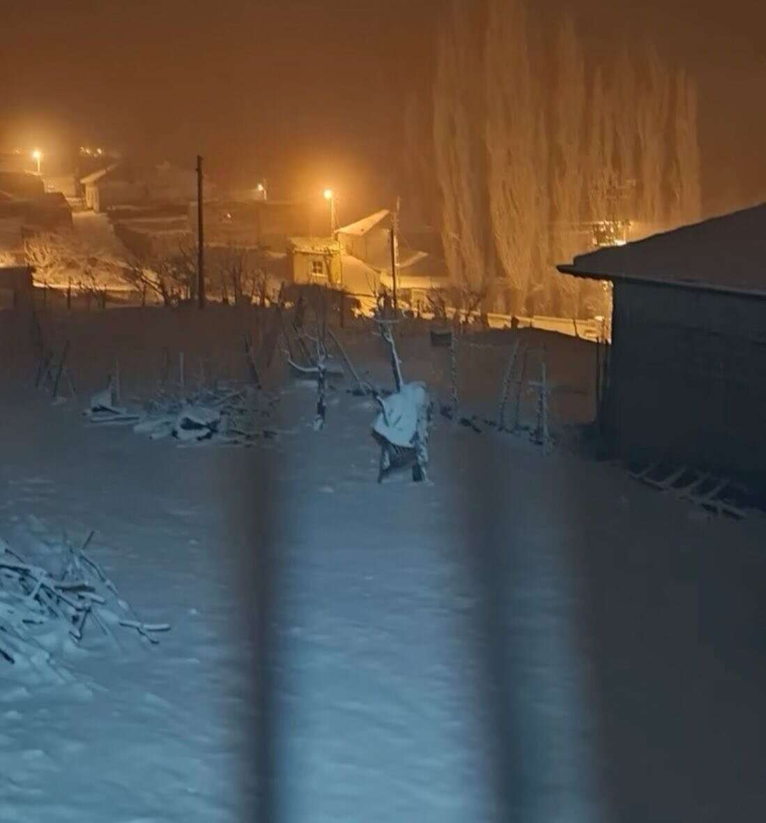 konyada-baharin-ortasinda-beyaz-surpriz