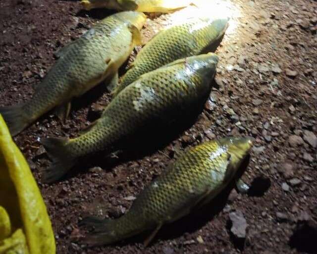 konyada-kacak-av-pahaliya-patladi-12-kisiye-439-bin-lira-ceza