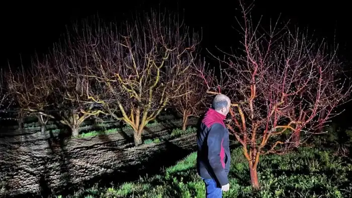 konya-ovasindaki-ciftciler-icin-alarm-verildi-zirai-don-kapida