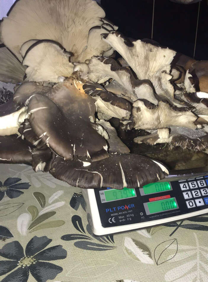 konyada-bulundu-goren-de-agirligini-duyan-da-inanamiyor