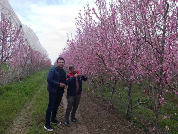 konyada-zirai-don-alarmi-bahceler-tek-tek-kontrol-ediliyor