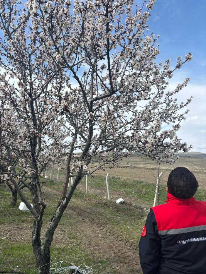 konyada-zirai-don-alarmi-bahceler-tek-tek-kontrol-ediliyor