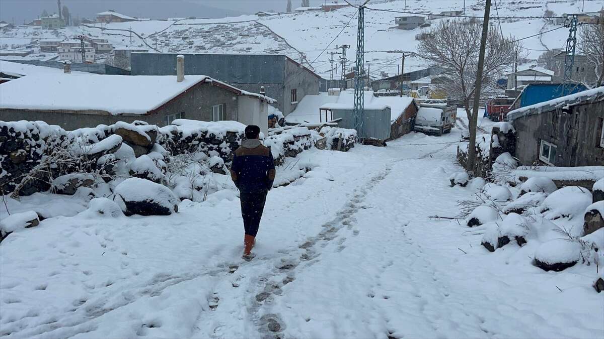 doguda-kis-yeniden-bastirdi-3-il-beyaza-burundu