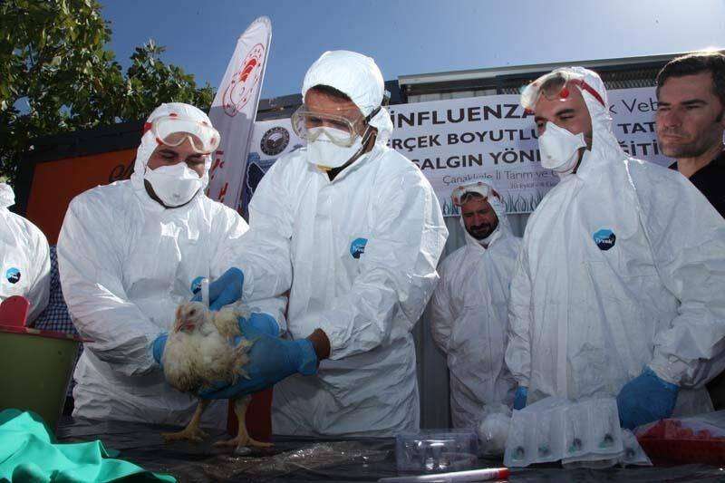konyada-yine-kus-gribi-alarmi-verildi-tavuk-ciftlikleri-karantinada