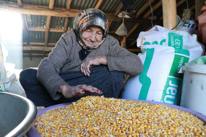 yuzyillik-lezzet-gavut-konyadaki-sofralarda-yerini-koruyor