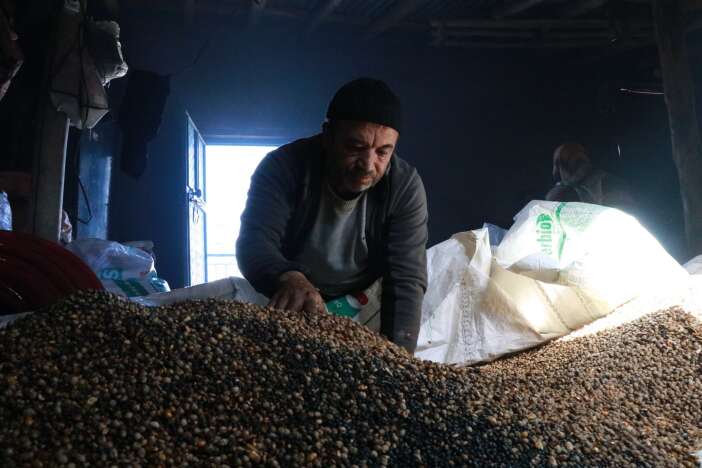 yuzyillik-lezzet-gavut-konyadaki-sofralarda-yerini-koruyor