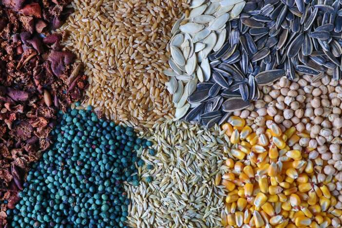 yuzyillik-lezzet-gavut-konyadaki-sofralarda-yerini-koruyor