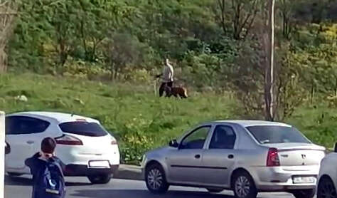 kopege-kemerli-iskence-goruntuleri-ekipleri-harekete-gecirdi-kimseye-aldiris-etmedi