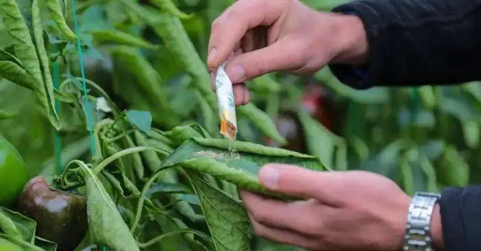 konya-ciftcisine-dogru-doz-dogru-zaman-uyarisi-topragi-zehirlemeyin