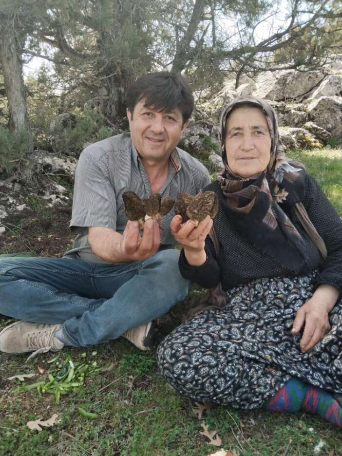 konyada-doganin-altin-degeri-gun-yuzune-cikti-bu-fiyata-alici-buluyor