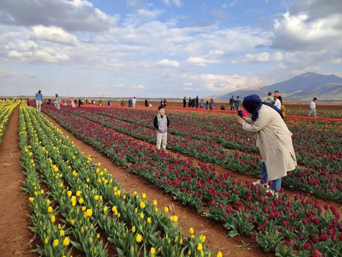 unlu-lale-bahcesi-acildi-konyaya-cok-yakin
