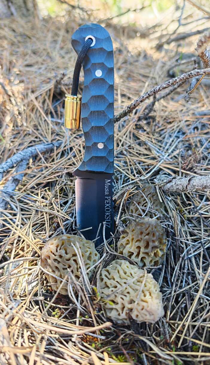 konyada-baharin-hazinesi-cikti-kilosu-2-bin-liraya-dayandi