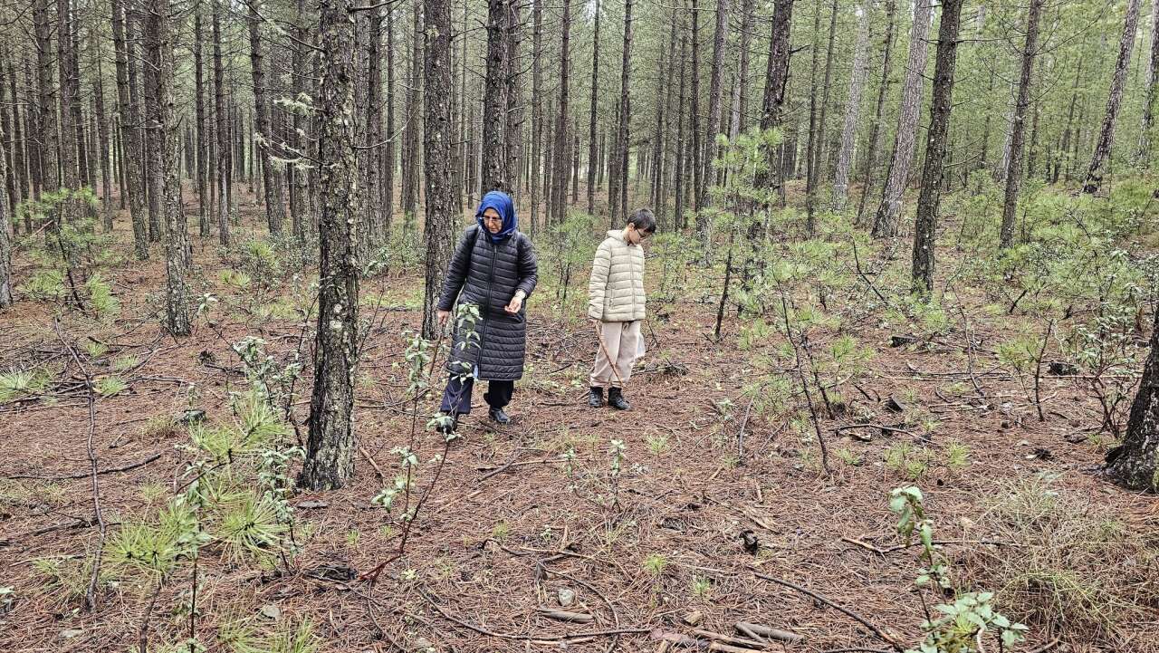 konyada-ilcesinde-daha-sezon-acildi-dogaseverler-toplamak-icin-yaristi