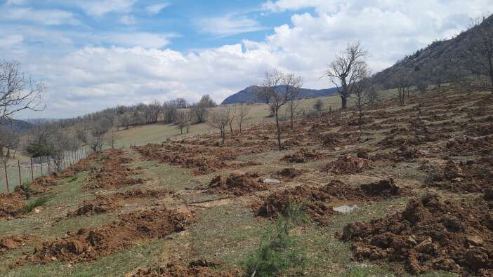 konyada-kullanilmayan-araziler-agaclandirilmaya-baslandi