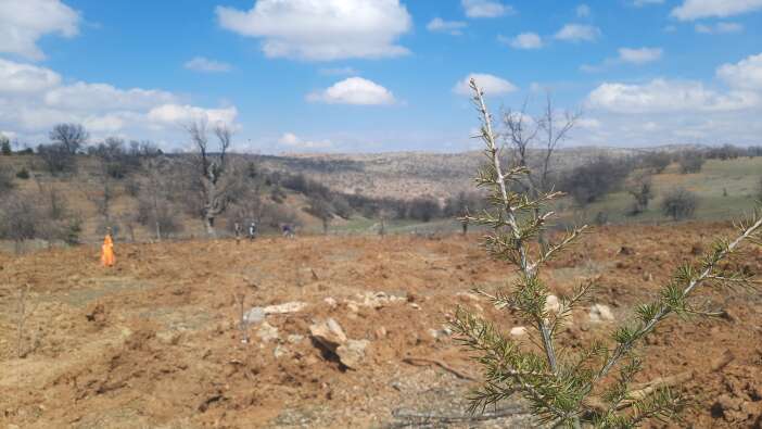 konyada-kullanilmayan-araziler-agaclandirilmaya-baslandi